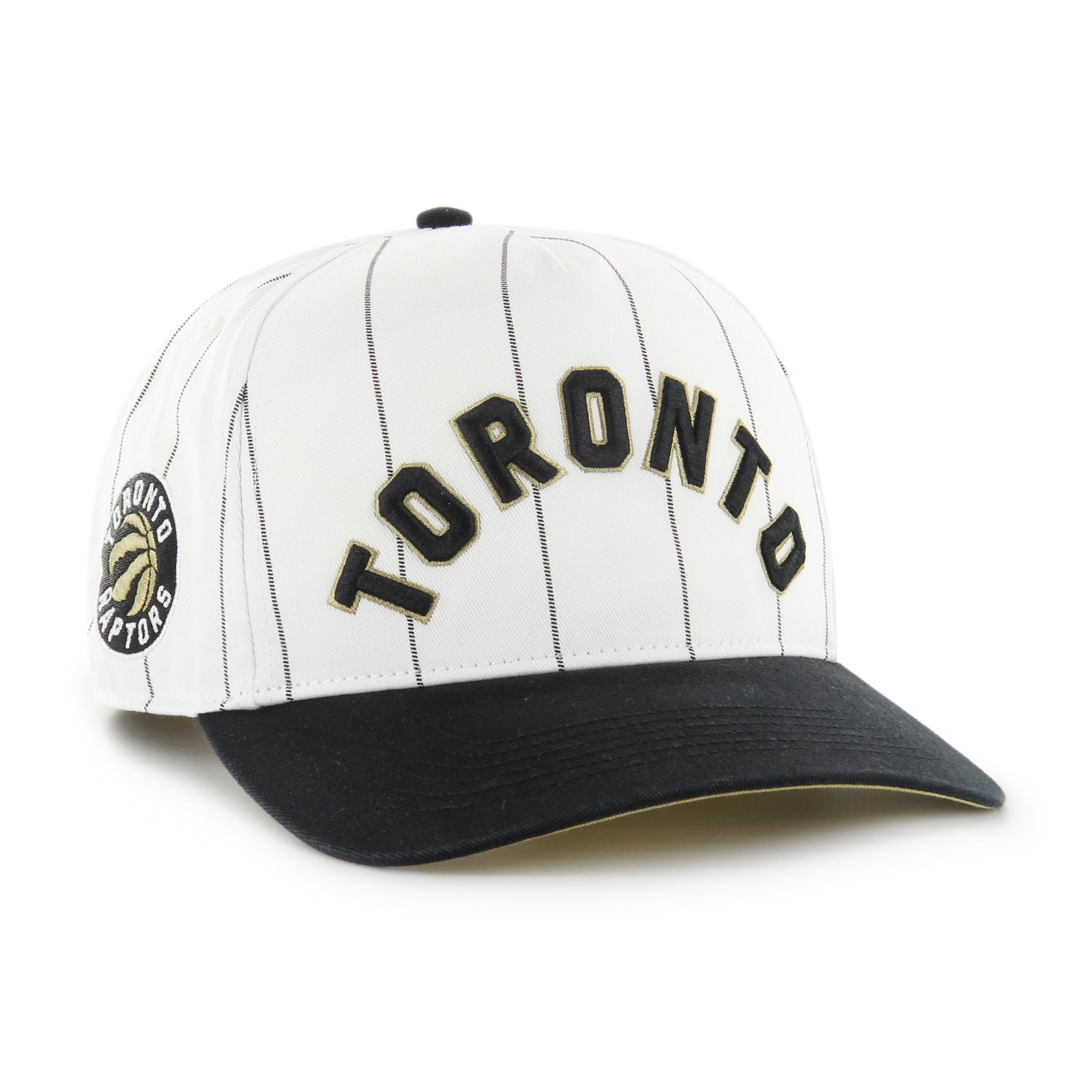 Toronto Raptors Double Header Pinstripe '47 HITCH