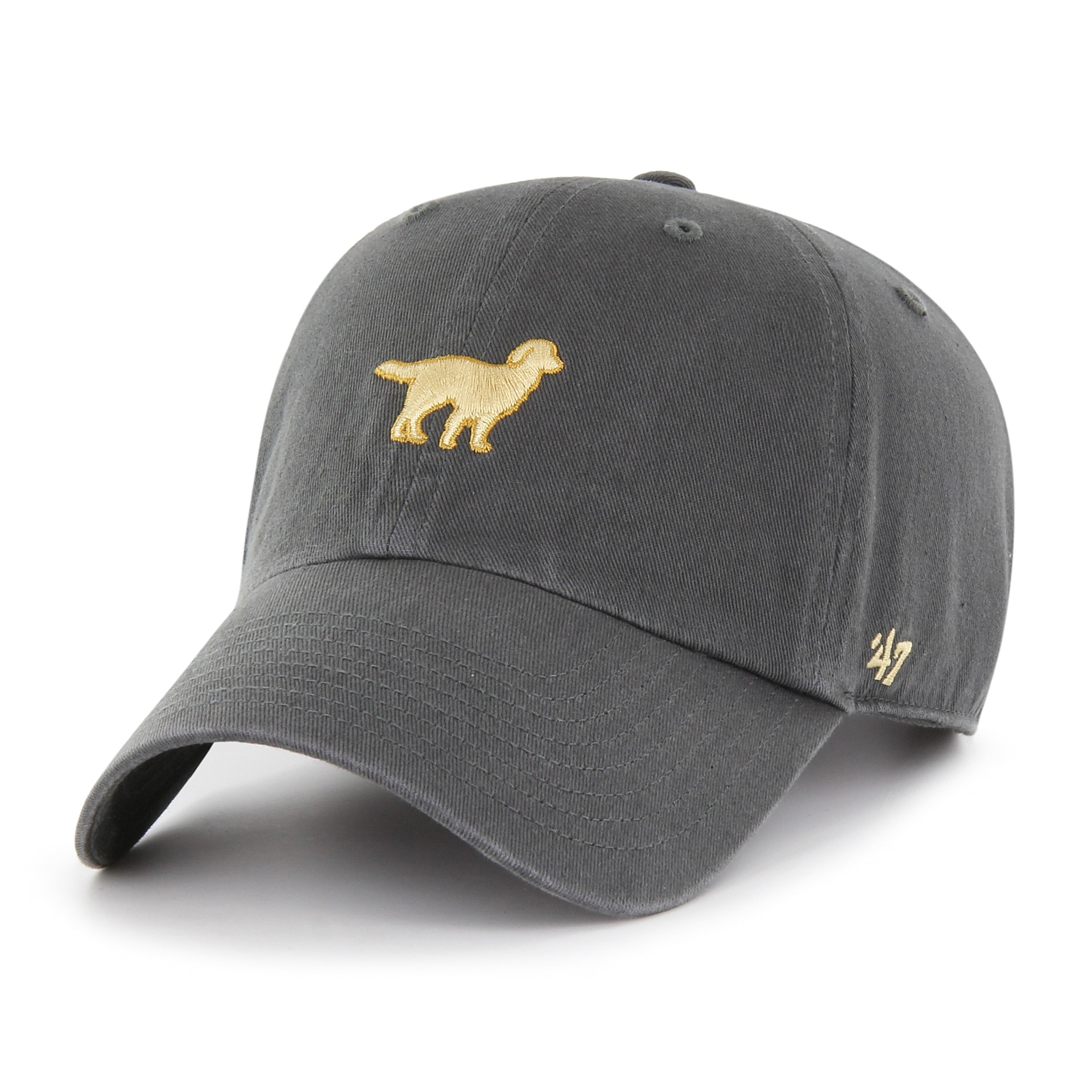 Golden Retriever '47 CLEAN UP