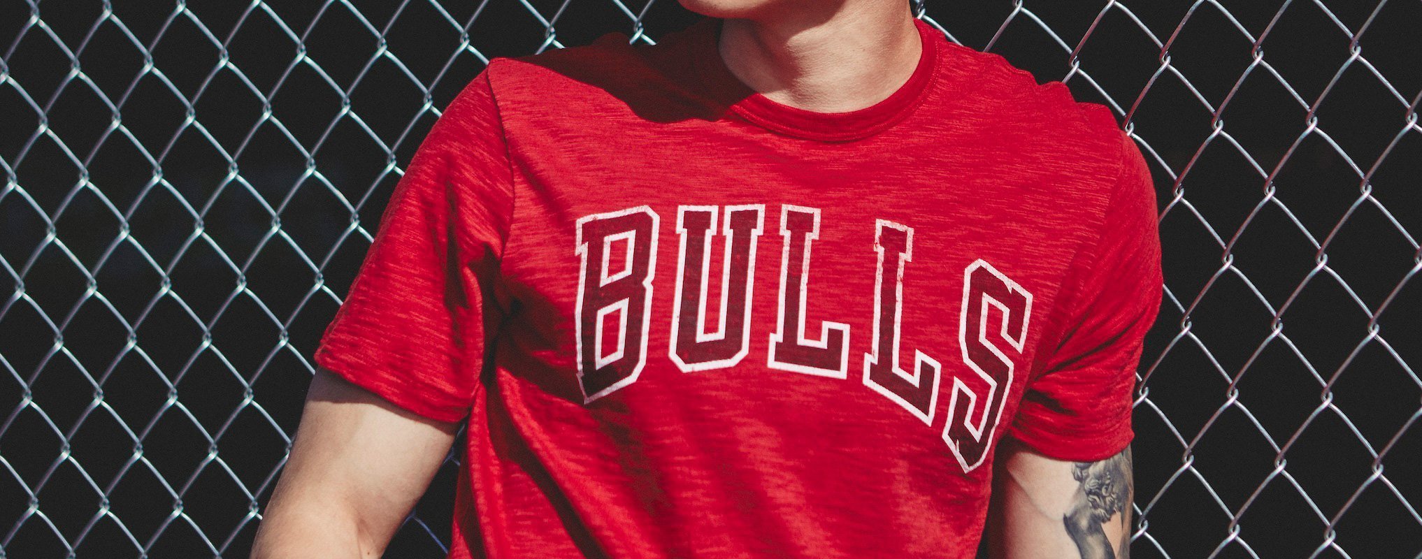 Chicago Bulls Collection